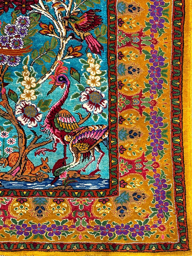 حاشیه قرش